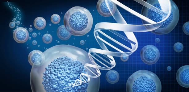 Biomaterials