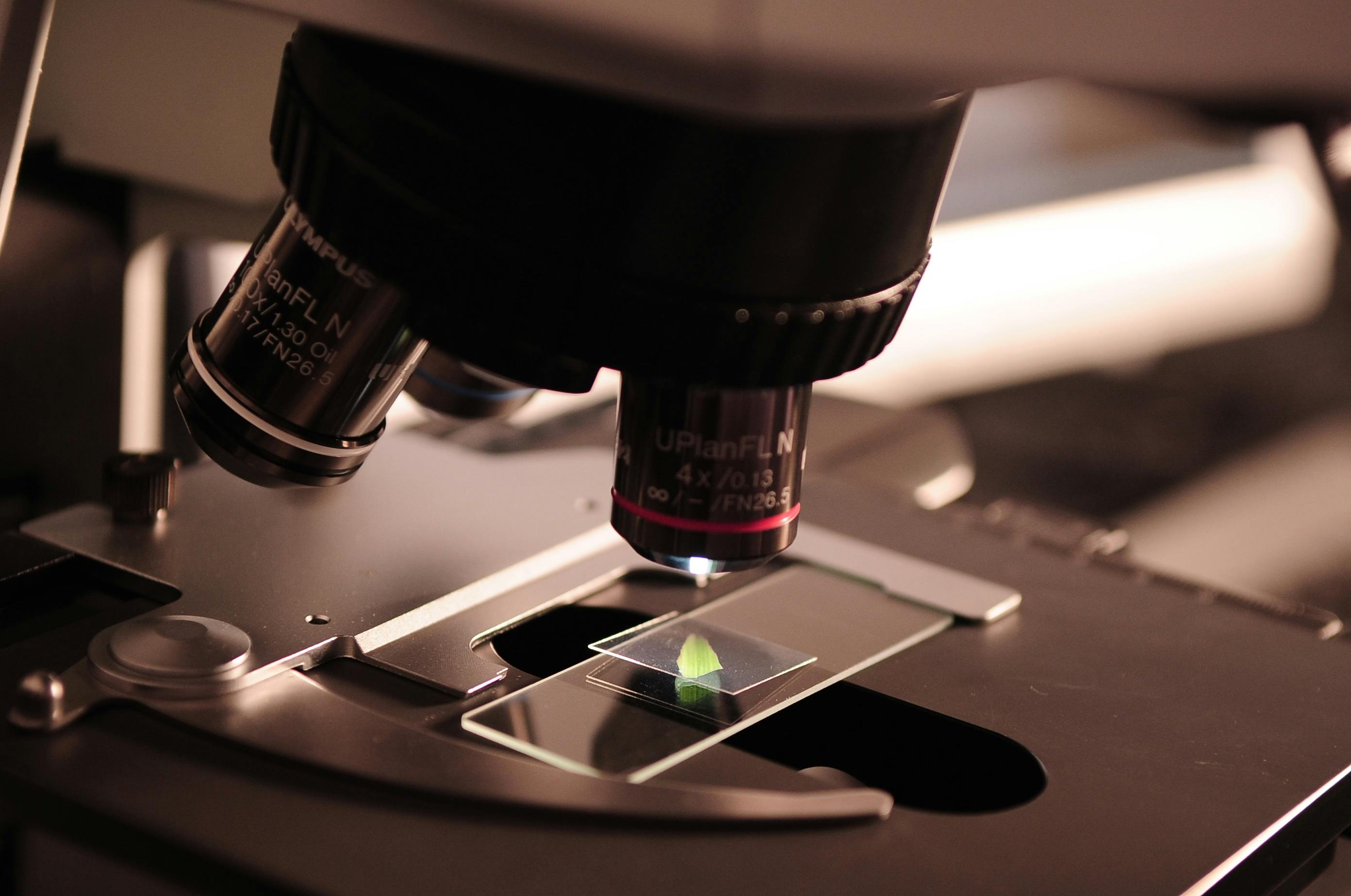Bioprocess Optimization